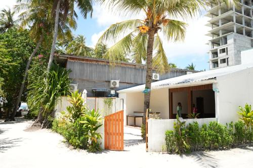 Thulusdhoo Island Hotel | Coconut Surf Maldives