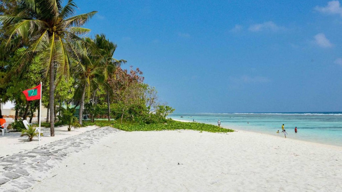 Hulhumale House | Coconut Tree Hulhuvilla Beach