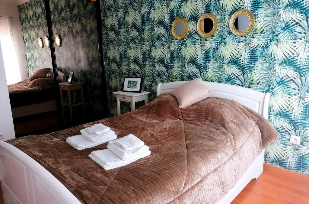 Vendas Novas Apartment | Cocoon Guest House Vendas Novas