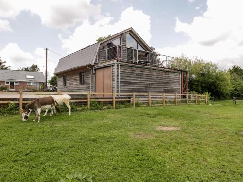 Sturminster Newton Apartment | Cointree