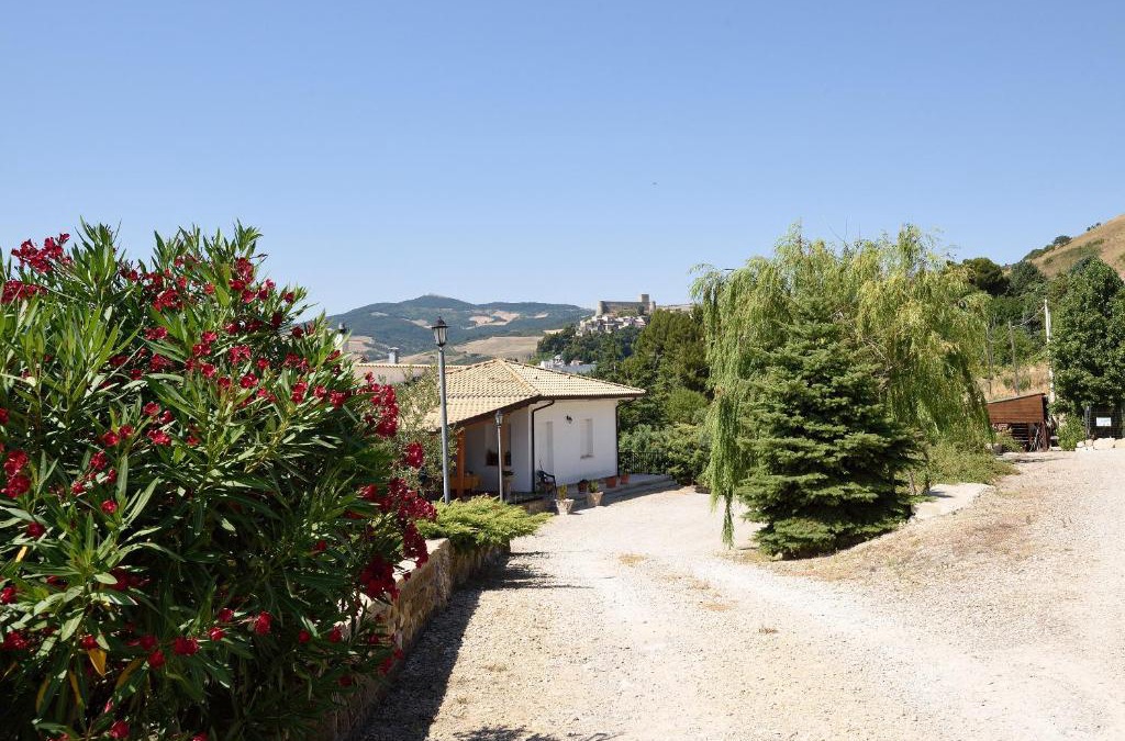 Deliceto House | Colle d'Elce