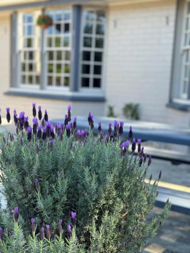 Raymond Terrace Hotel | Colonial Terrace Motor Inn