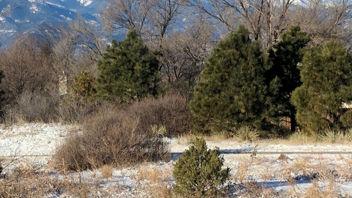 Village Seven House | Colorado Springs Getaway near AFA, hiking, shopping and walking trailnSTR-1308