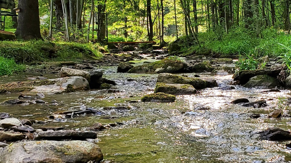 Allegany Cabin | Come and enjoy some peace and quiet at the Pumpkin hollow Inn