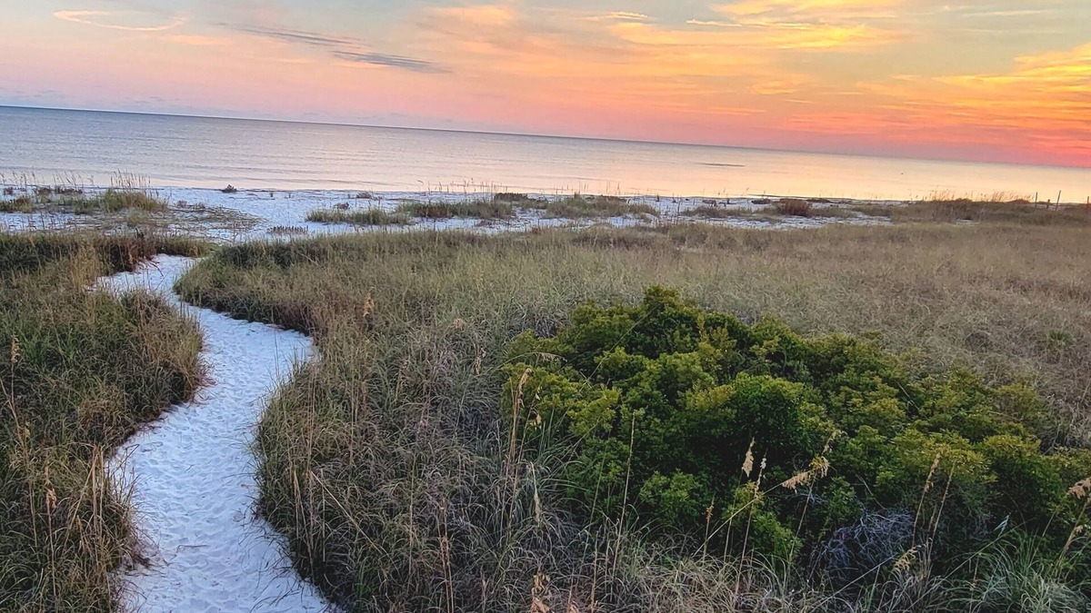 Alligator Point House | Come enjoy our dream vacation home