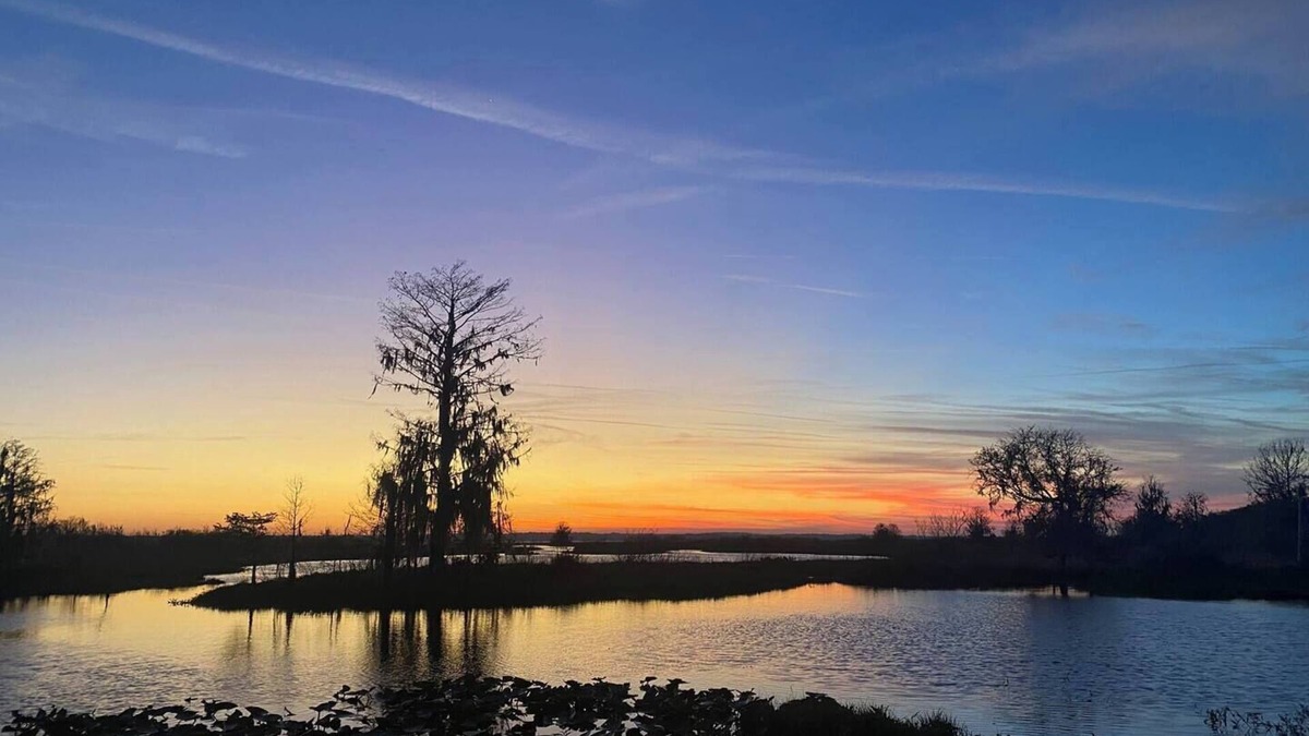 Hawthorne House | Come enjoy this cozy Jeep-themed get away in Cross Creek, FL.