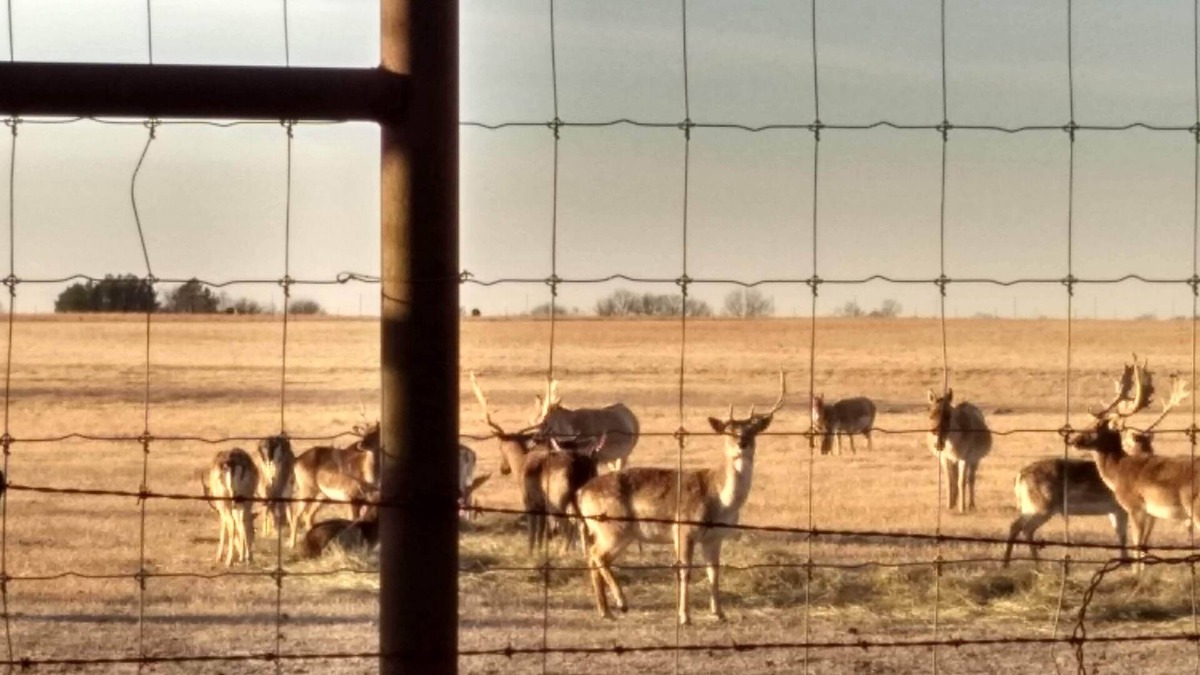 Adair House | Come experience the country!