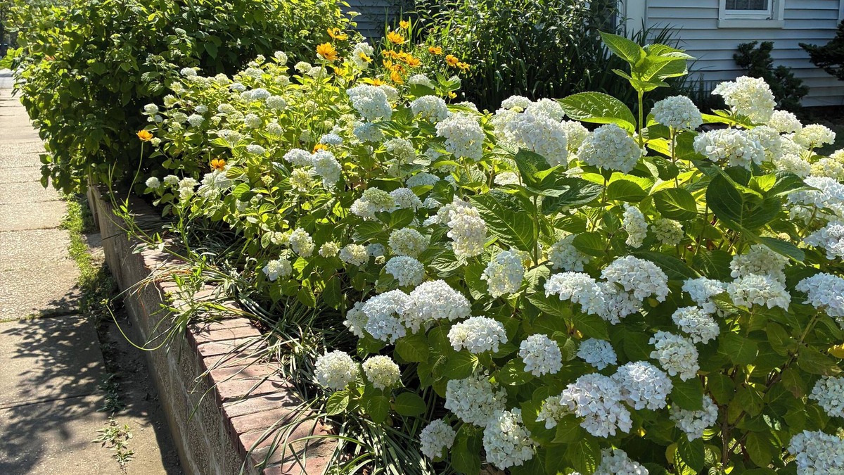 Greenport House | Come stay at The Whitman House a magical gem in the heart of Historic Greenport