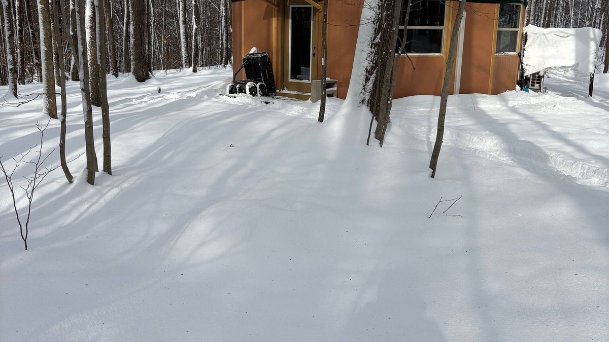 Truxton Cabin | Come visit our magical yurt. Nestled in the woods.