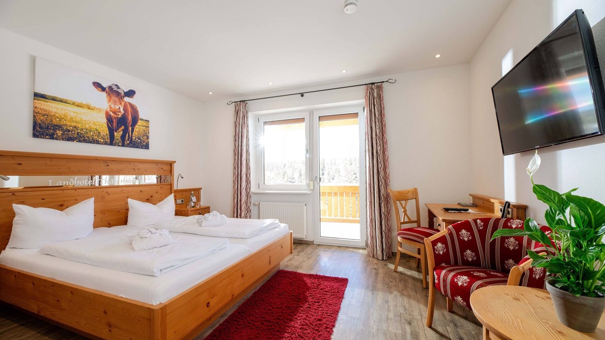 Furtwangen Apartment | Comfort double room with balcony