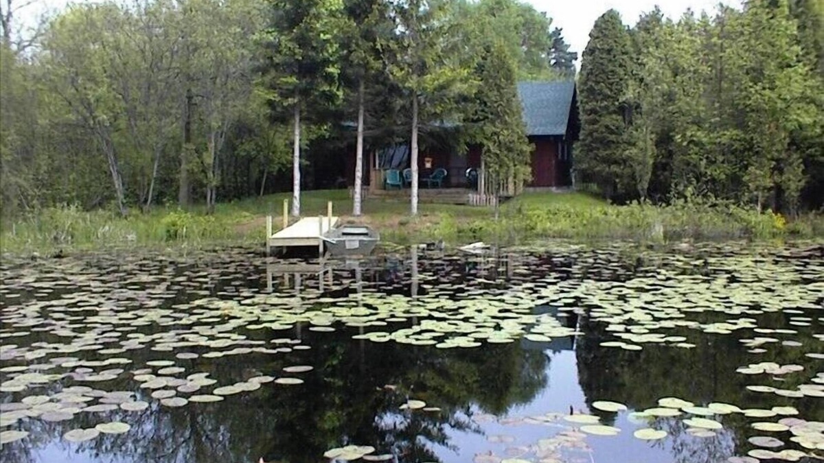 Manistee Cabin | Comfort in Natural Surroundings