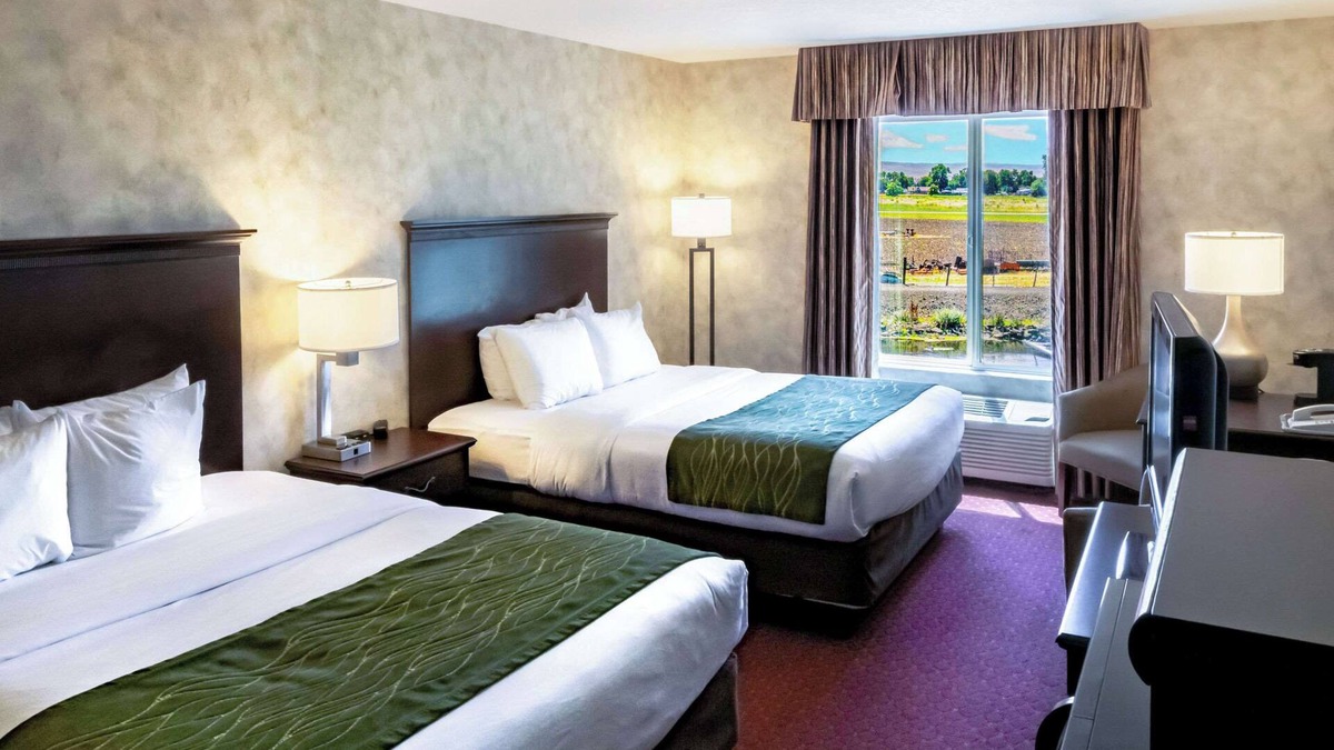 Walla Walla Hotel | Comfort Inn And Suites Walla Walla