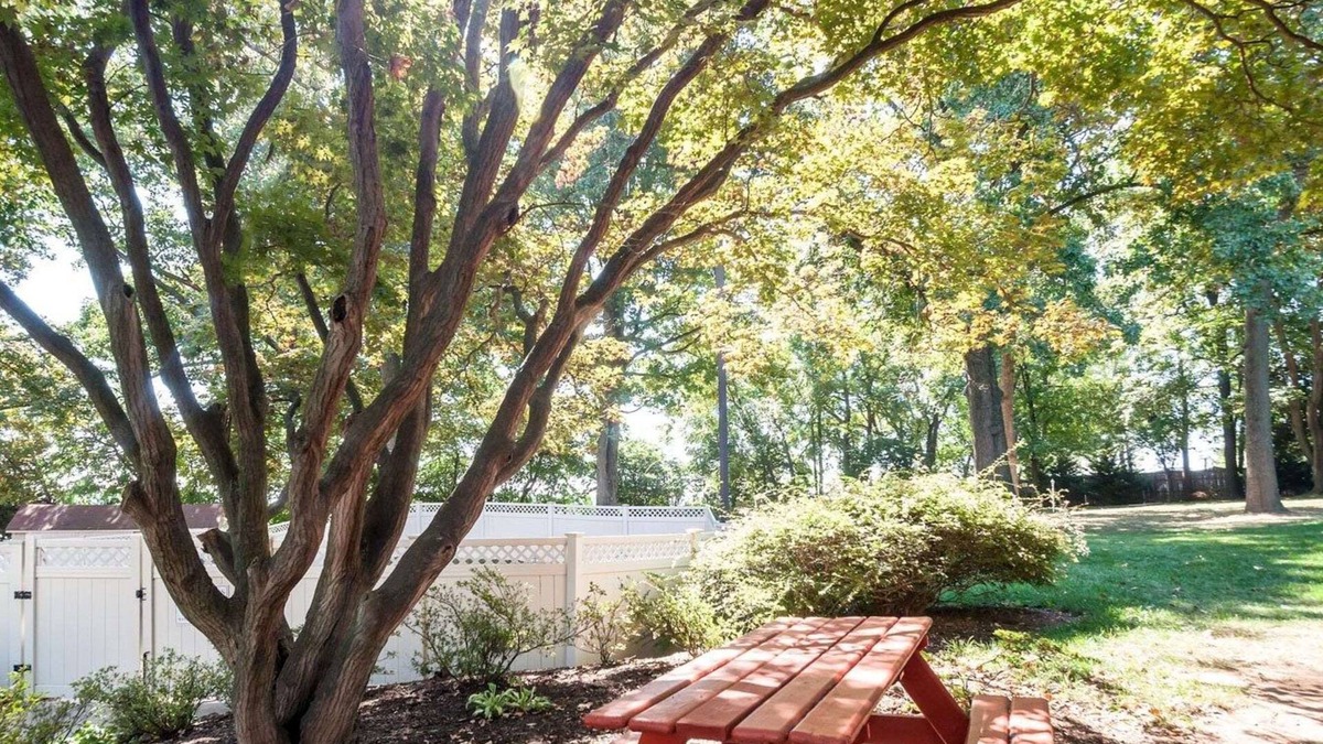 Gaithersburg Hotel | Comfort Inn Shady Grove - Gaithersburg - Rockville
