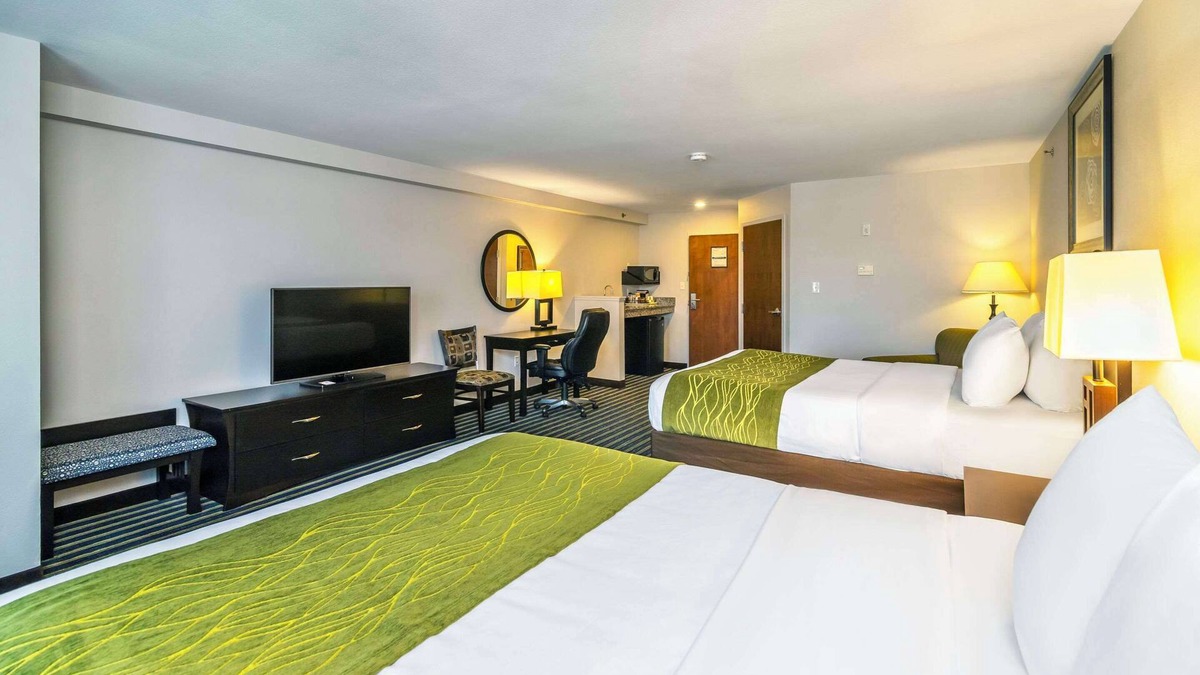 Moose Jaw Hotel | Comfort Inn & Suites