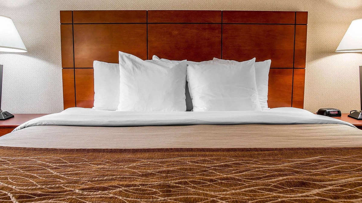 Bryant Pattengill East Hotel | Comfort Inn & Suites University South