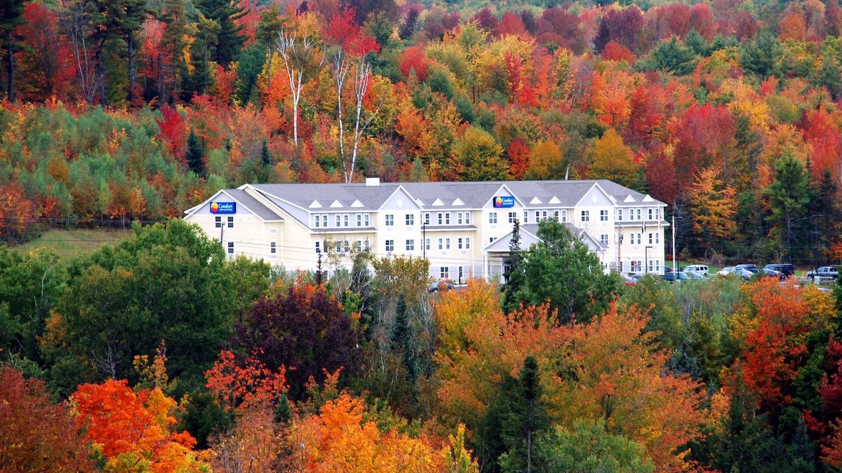 Wilton Hotel | Comfort Inn & Suites Wilton