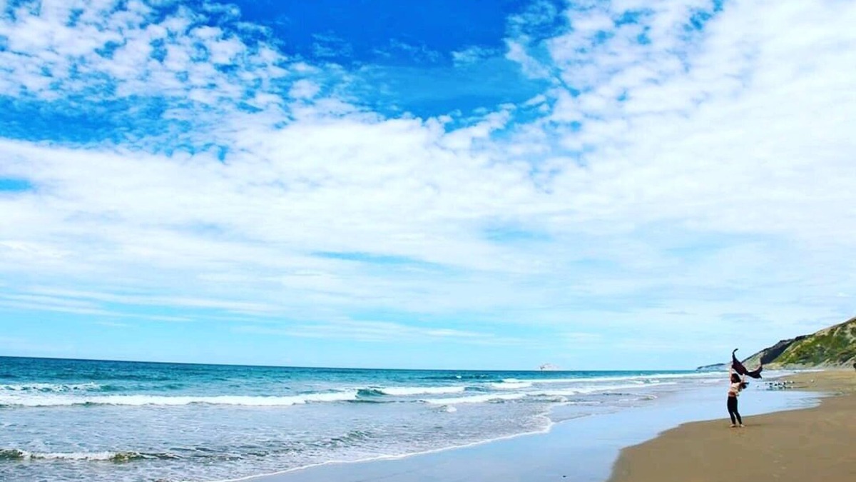 Westshore Hotel | Comfort Inn Westshore Beach