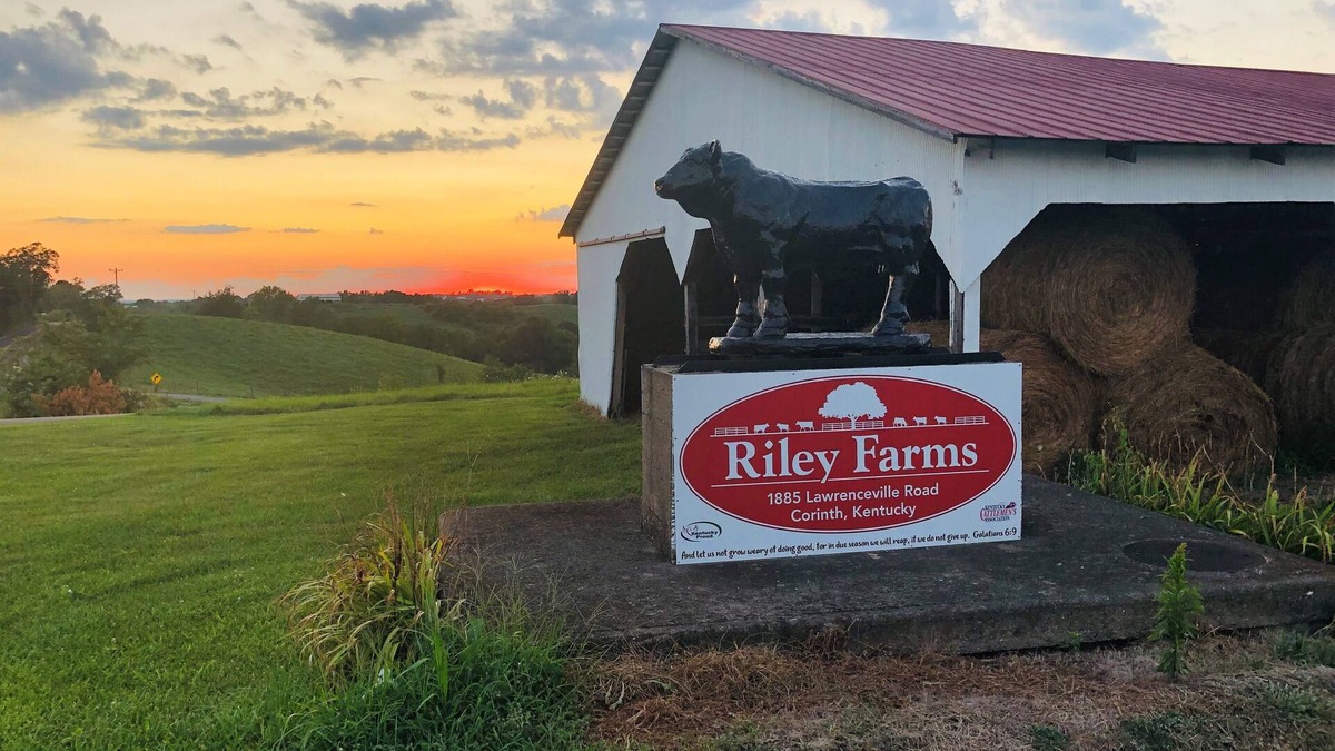 Jonesville House | Comfort & Rest @Riley Farms, ❤ of the Bluegrass- 12 mins from Ark, w/Hot Tub