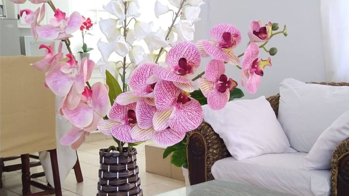 St. George's Apartment | Comfort Stay Vacation Rental