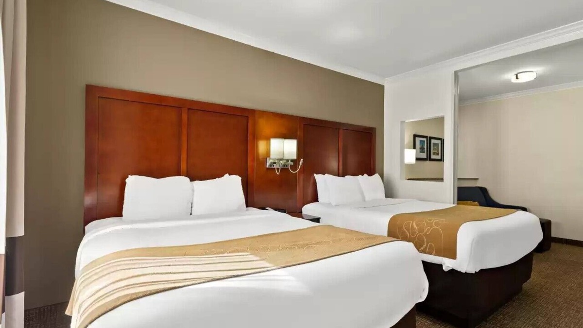 Central City Hotel | Comfort Suites Corpus Christi Central