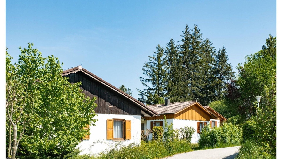 Schwarzenbach House | Comfort with Garden Charm