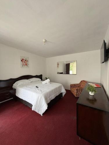 Yauhquemehcan Apartment | Comfortable room
