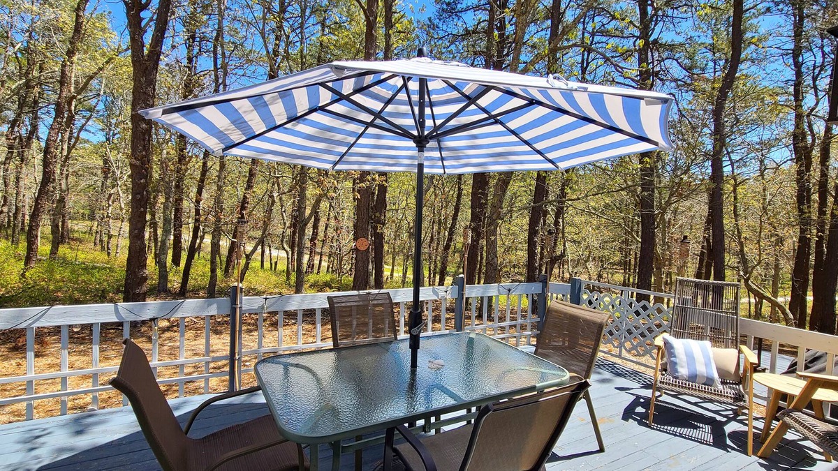 Wellfleet House | Comfortable 3BD--Central A/C, Enclosed Outdoor Shower, Deck, Close to Gull Pond