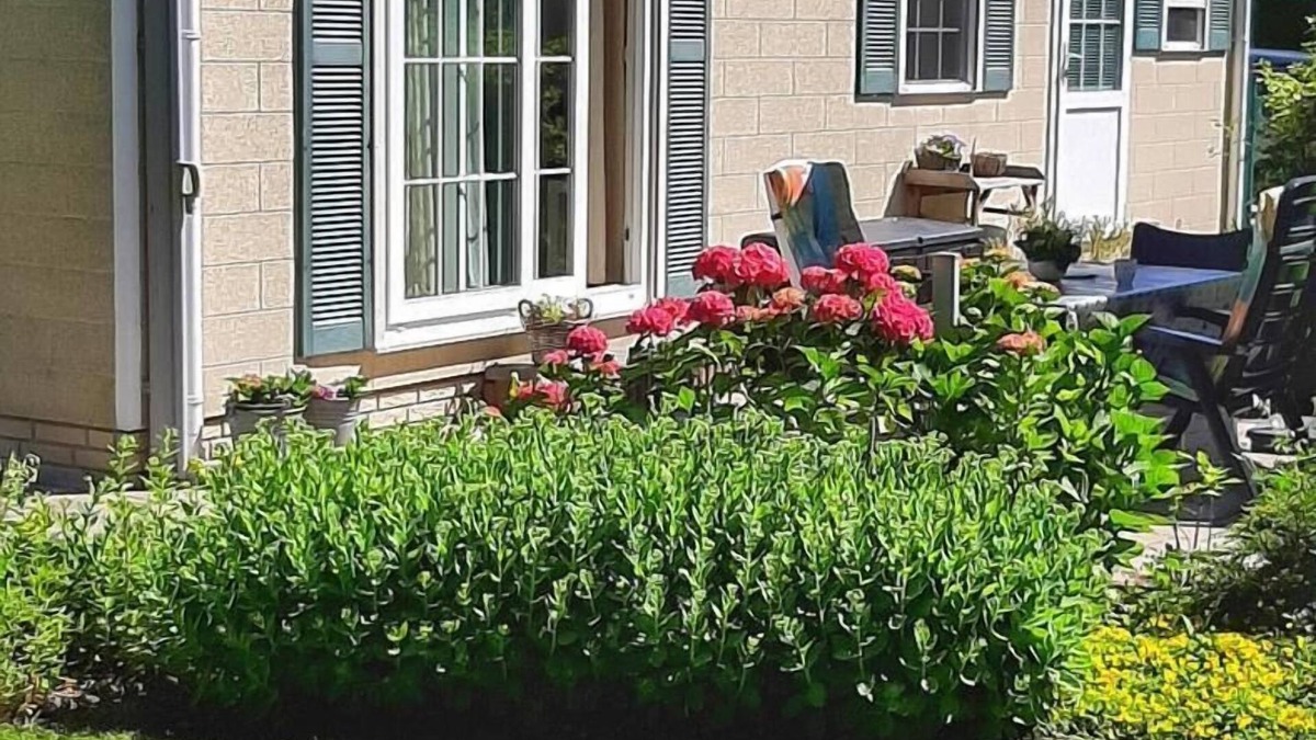 Groede House | Comfortable 4-person chalet in Groede with garden, complete kitchen and free wifi. Quiet location within walking distance of beach and nature.