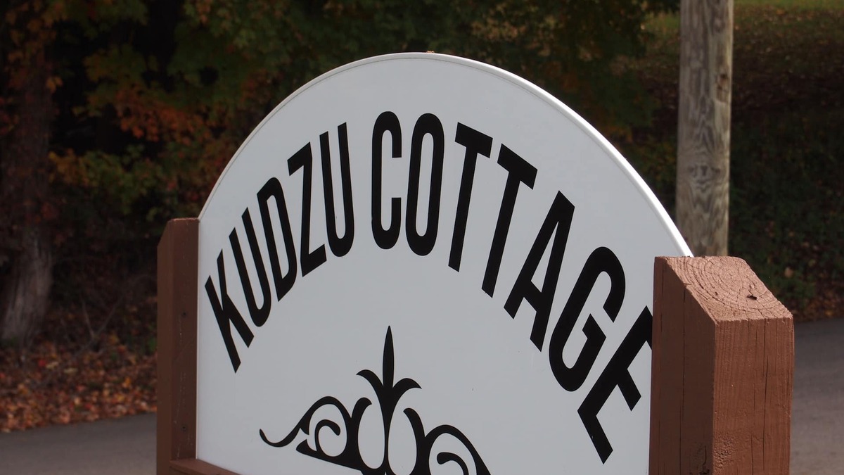 Greeneville Apartment | Comfortable and Modern Cottage, 10 Minutes from Tusculum University.