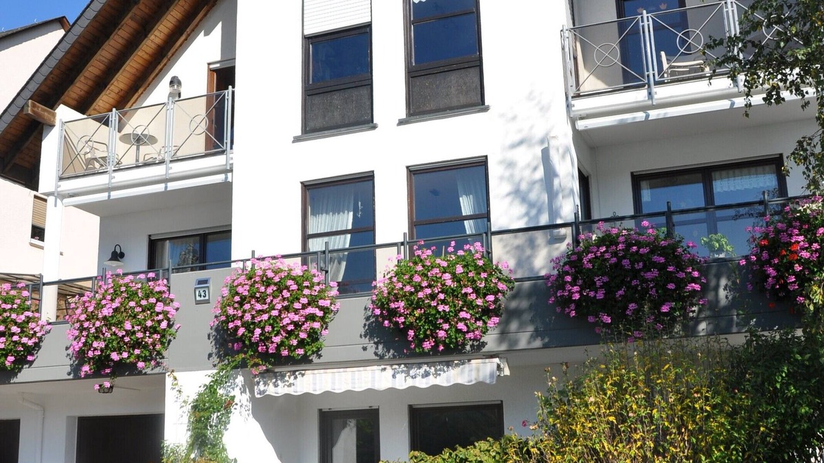 Mainz-Bingen Apartment | Comfortable apartment in the vineyards with a wonderful view of the Rhine and castles