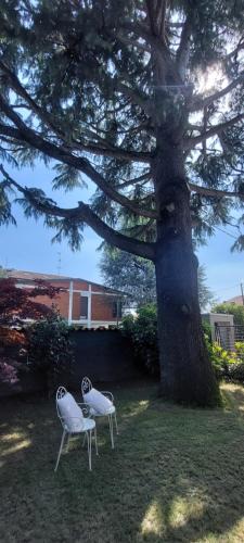 Biassono Apartment | Comfortable apartment - Monza park with garage