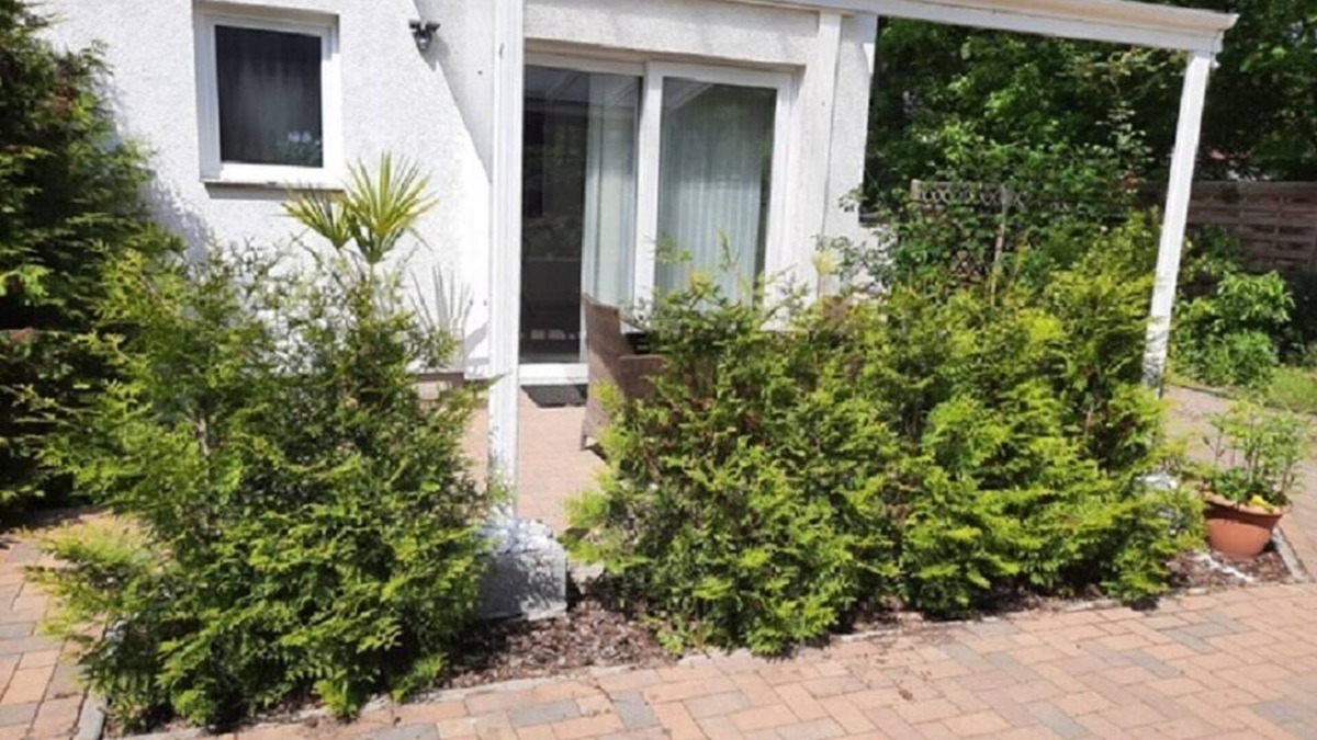 Schmoeckwitz Apartment | Comfortable apartment "SWS-Ost" on Krossinsee surfers Idyllic