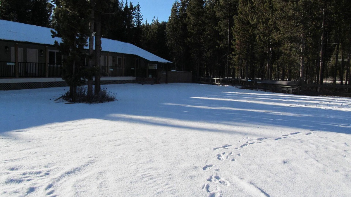 Okanagan-Similkameen Apartment | - Comfortable, cozy 1 bedroom suites. 1 to 4 suites availablen