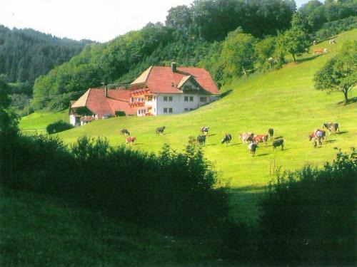 Hofstetten Apartment | Comfortable holiday home in a beautiful location
