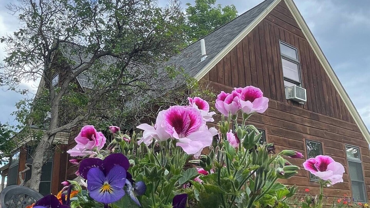 Helena House | Comfy, Charming 4-Bedroom Victorian Home in Central Helena - Vacation or Work