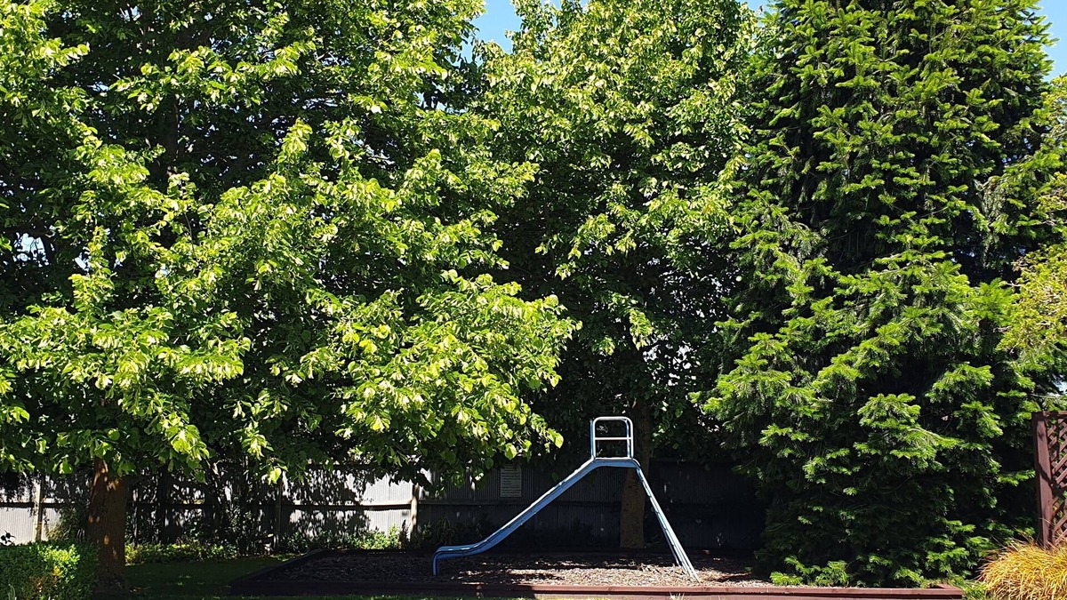 Ashburton Hotel | Commodore Motor Lodge