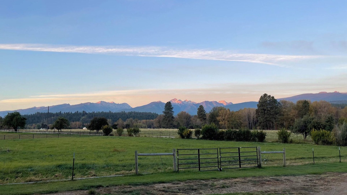 Grantsdale Cabin | Como View Cabin - 2 bedroom cabin, epic views, close to fishing access, sleeps 4