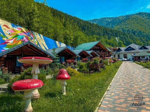 Bicaz Hotel | Complex Adora