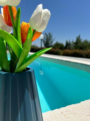 Minturno Apartment | Confini Retreat