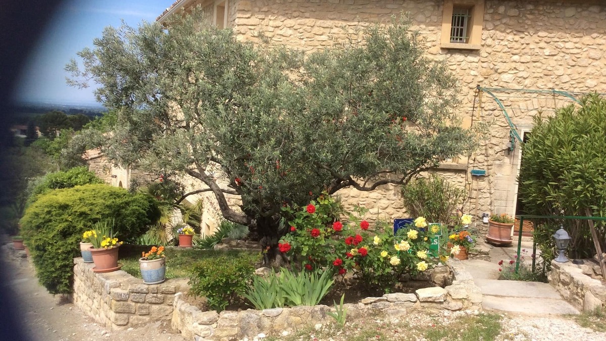 Saint-Pierre-de-Vassols House | CONILS
