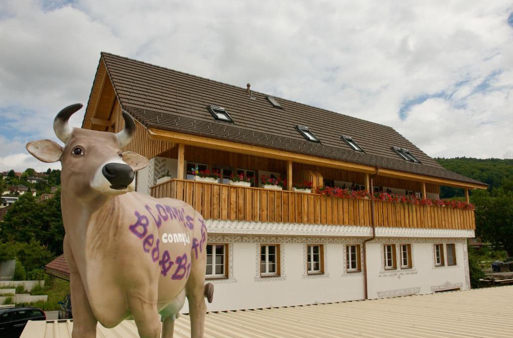 Niederweningen Bed & Breakfast | Conny's B&B
