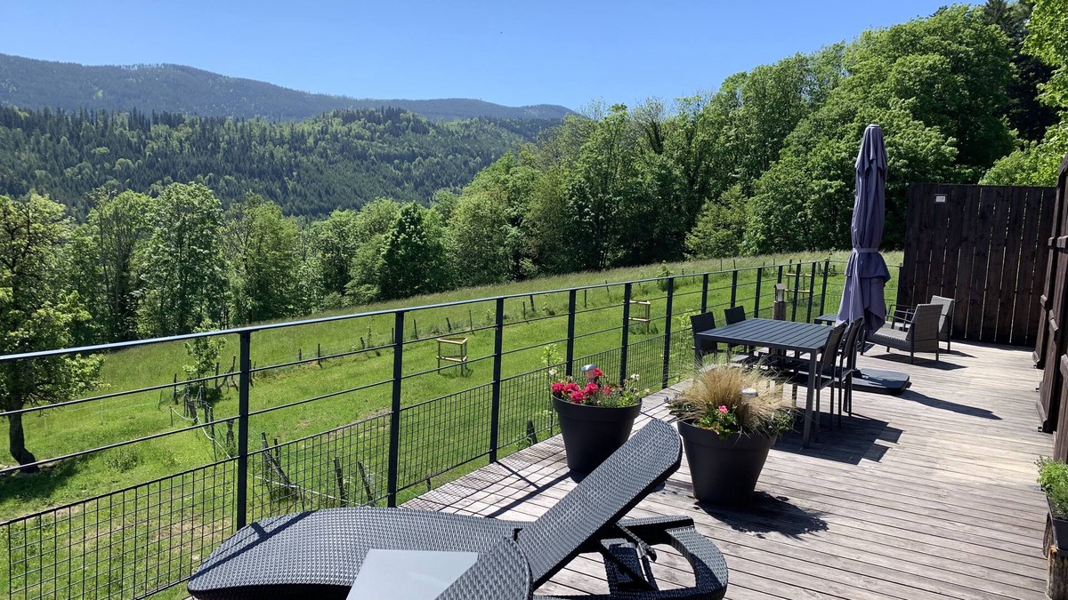 Sainte-Marie-aux-Mines Cabin | Contain'Air, splendid views & nature