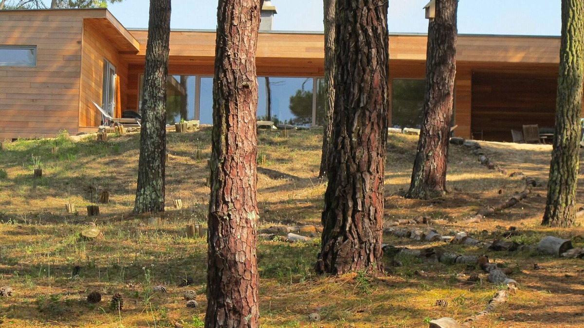 Notre-Dame-de-Monts House | Contemporary house with spectacular view of the forest