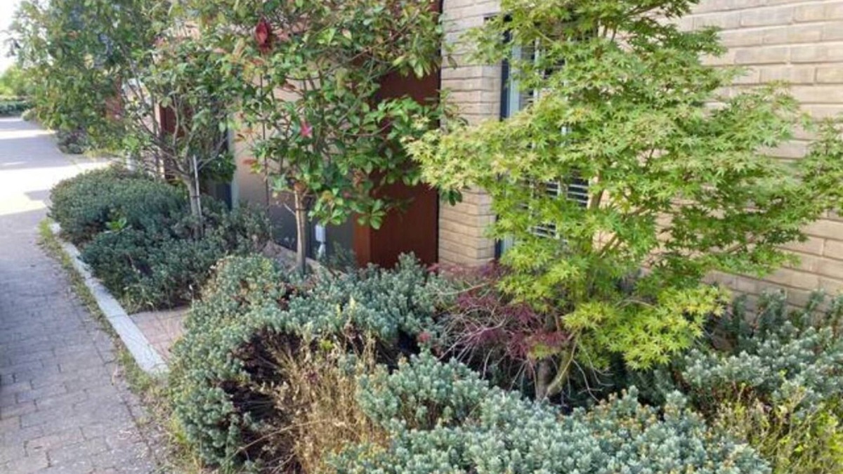 Cambridge House | Contemporary, Cosy House with Free Parking & Garden; 5 mins to Addenbrooke's
