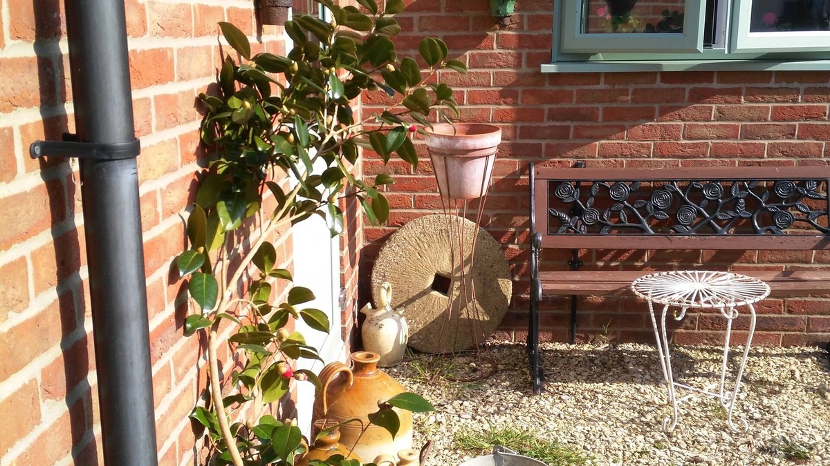 Sleaford Cottage | Contemporary Garden Cottage