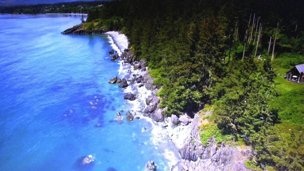 Otter Point Cottage | Contemporary Oceanfront Cottage with Private Beaches, Trails, and Gardens
