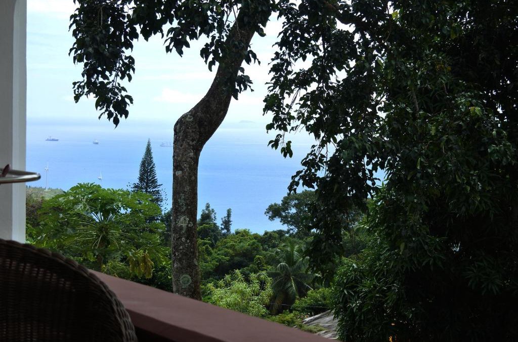 Zig Zag Ward Apartment | Contemporary studio with sea view in Mahé, 56m² + terrace