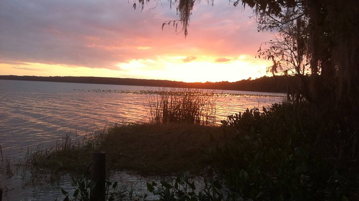 Gainesville Apartment | Convene With Nature With First Class Amenities! Create Memories! - Free Bike Use