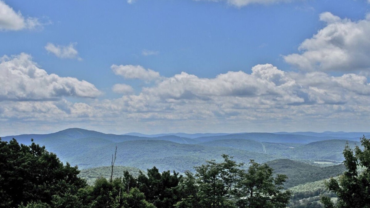 Delhi House | Convenient Stay, Superb Location! Minutes to Bramley Mtn. Trail