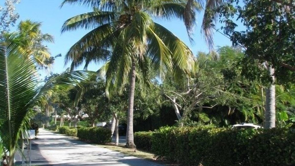 Santa Barbara Estates House | Cool Comfortable 4 BR/2 BA 7mins Walk to Beach, Hot Tub, Restr, Bars Golfing etc
